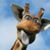 Lori Henderson's profile image