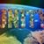 Elizabeth Wallner's profile image