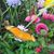 Robbyn Woodard Kuykendall's profile image