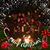 Tracey Brown McCoy's profile image