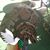 Janis Ramirez's profile image