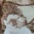 Penny Postlethwait's profile image