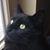 Jean Heckford's profile image