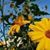 Barb Markey's profile image