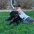 Lori Herrin's profile image