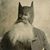 John De La Garza's profile image