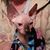 Fran Berry's profile image