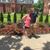 Melissa Lynch DeRensis's profile image