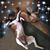 Melody Ruse Ragsdale's profile image