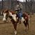 Terry Cramblitt's profile image