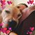 Michelle Pavsner's profile image