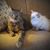 Sherry Kay's profile image