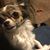 Lisa White's profile image