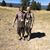 Sarah Beckstrom's profile image