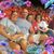 Cindy Sipes's profile image