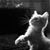 Linda L. Walker's profile image