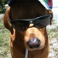 Ronald Mckenzie's profile image