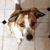 Menotti Joseph Barone's profile image