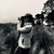 Emily Schmidt's profile image