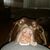 Michael Minich's profile image
