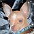 Jane Martin's profile image
