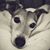 Gina Rogers Mooney's profile image