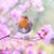 Ashley Sheree's profile image