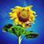 Beate Casati's profile image