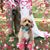 Pam Krebs's profile image