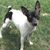 Joan Shimkus Green's profile image