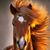 Colt Griffin's profile image
