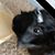 Christine Lasiewicki's profile image