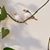 Stacey Smith Langenek's profile image