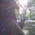 Tony Barndog Barnhart's profile image