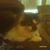 Linda Faiken's profile image