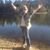 Katie Jurkiewicz's profile image