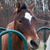 Patty Kelley Seckar's profile image