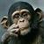 John Markovich's profile image