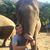 Trevor Robles-Hatchard's profile image