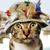 Bernadette Groult-Harlepp's profile image