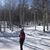 Vicki Mizels Ellsweig's profile image