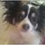 Christy Morris's profile image