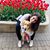 Anna Tonnarini's profile image