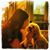 Lori Smith-Riccardi's profile image