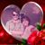 Mike Knopp's profile image