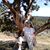 Lorelei Bell's profile image