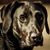 Gary Holley's profile image