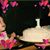 Jane Ramsey's profile image