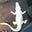 Andrew Powviriya's profile image