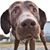 Jamie Huling's profile image